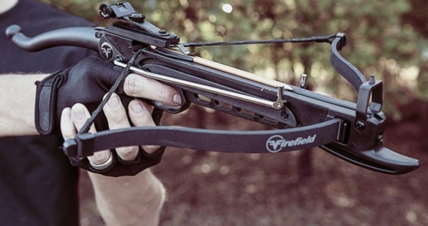 Crossbow Vs Compound Bow: What Are The Best?