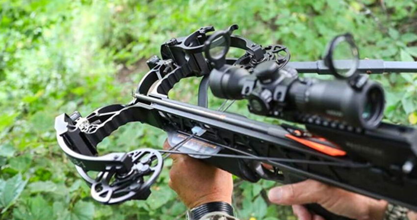 Crossbow Vs Recurve Bow – What is Right for You?