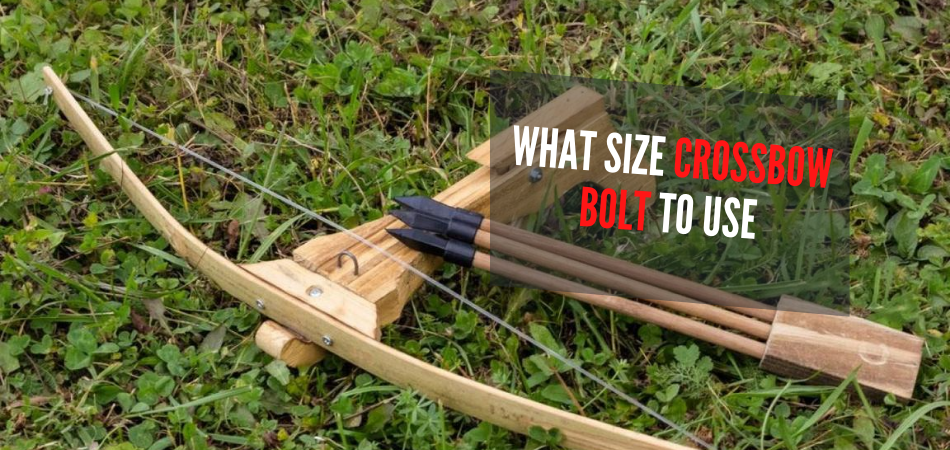 What Size Crossbow Bolt To Use