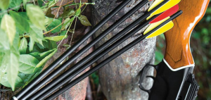 The 5 Best Crossbow Bolts for Deer Hunting Reviews In 2021