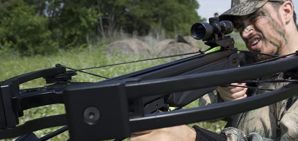 10 Best Crossbows Under 300 Reviews – Top Brands of The Year